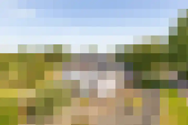 Zuster Dijkemaweg 27 Termunten thumbnail 6