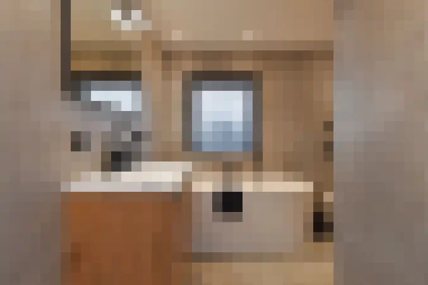 Zuster Gerarduslaan 46 Nootdorp thumbnail 4