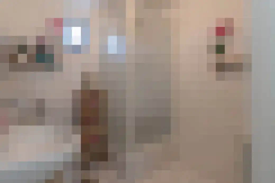 Zuster Gertrudisplaats 1 Werkhoven thumbnail 17