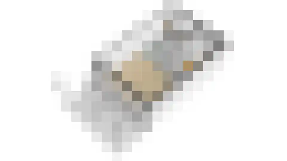 Zuster Gertrudisplaats 1 Werkhoven thumbnail 22