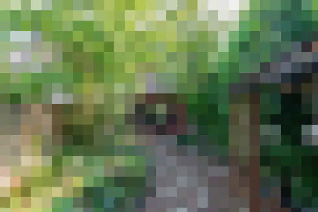 Zuster Gertrudisplaats 1 Werkhoven thumbnail 6