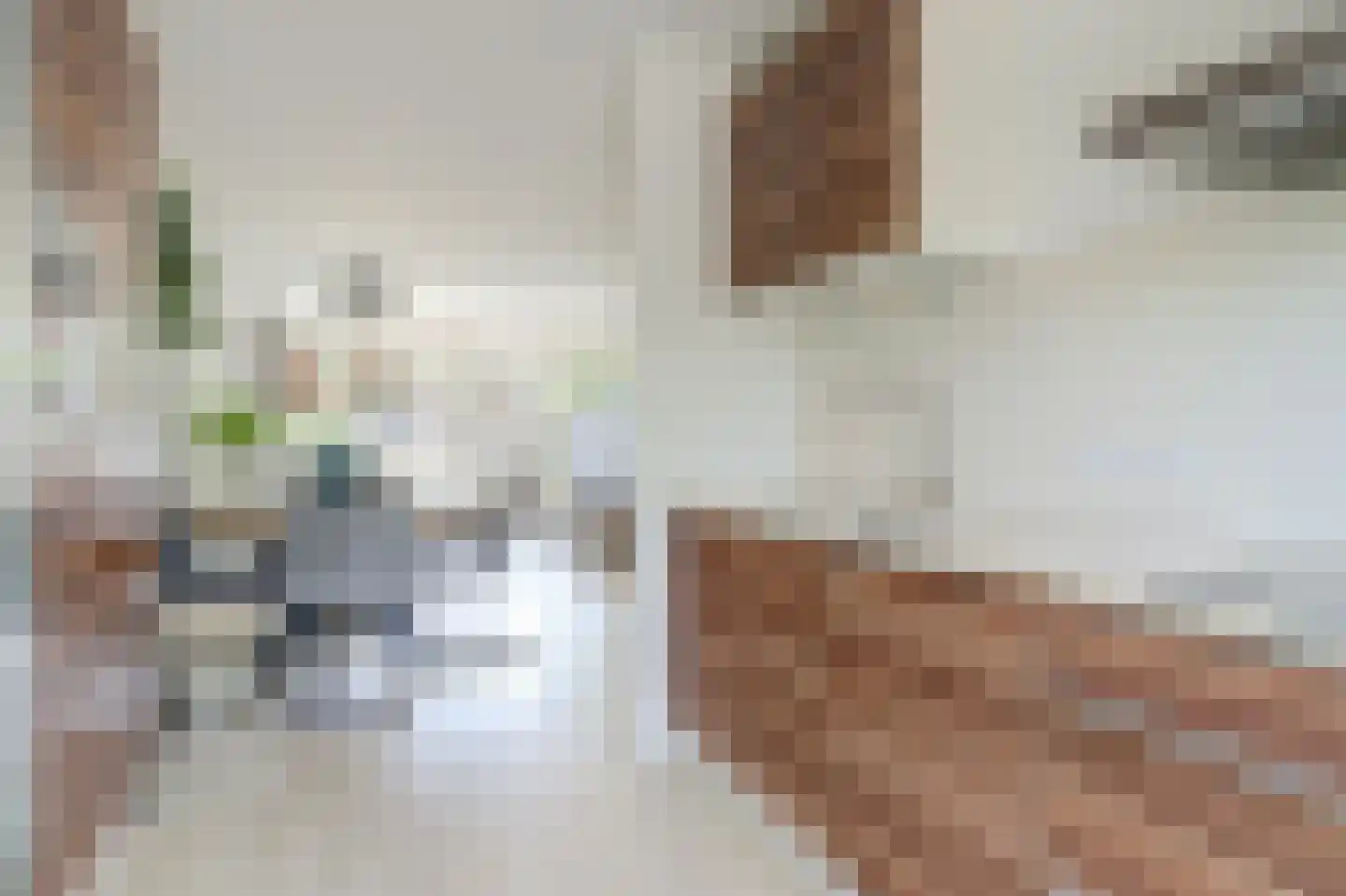 Zuster Gertrudisplaats 2 Werkhoven thumbnail 13