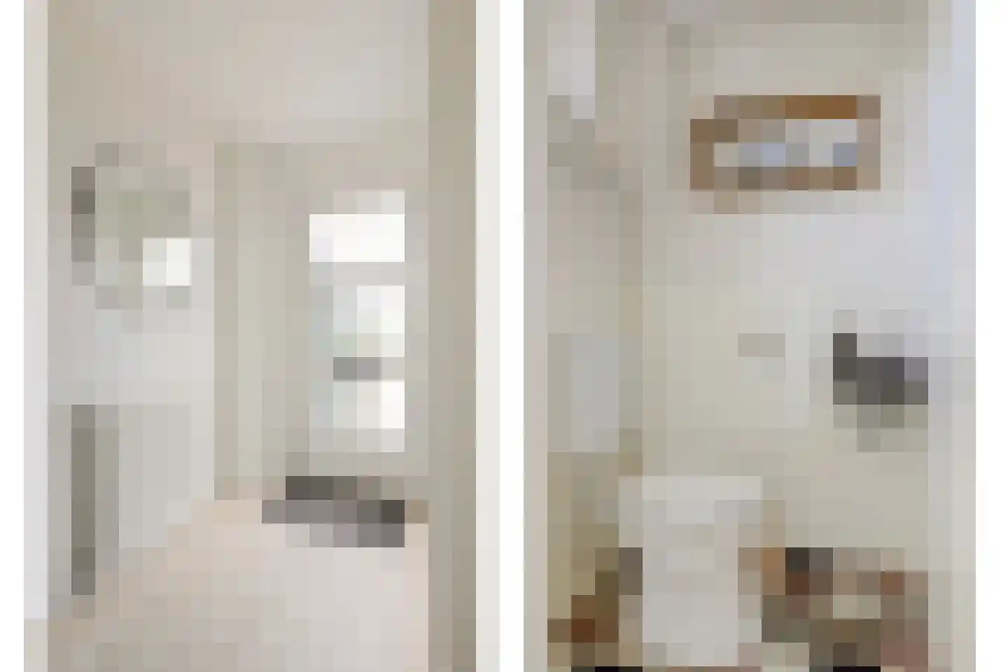 Zuster Gertrudisplaats 2 Werkhoven thumbnail 14
