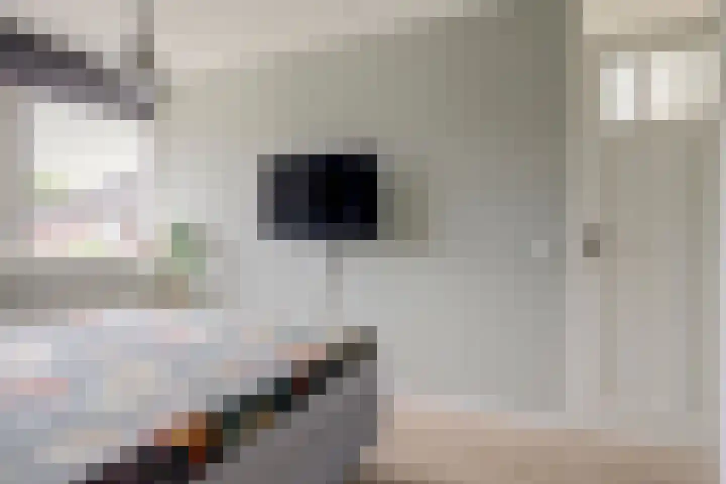 Zuster Gertrudisplaats 2 Werkhoven thumbnail 18
