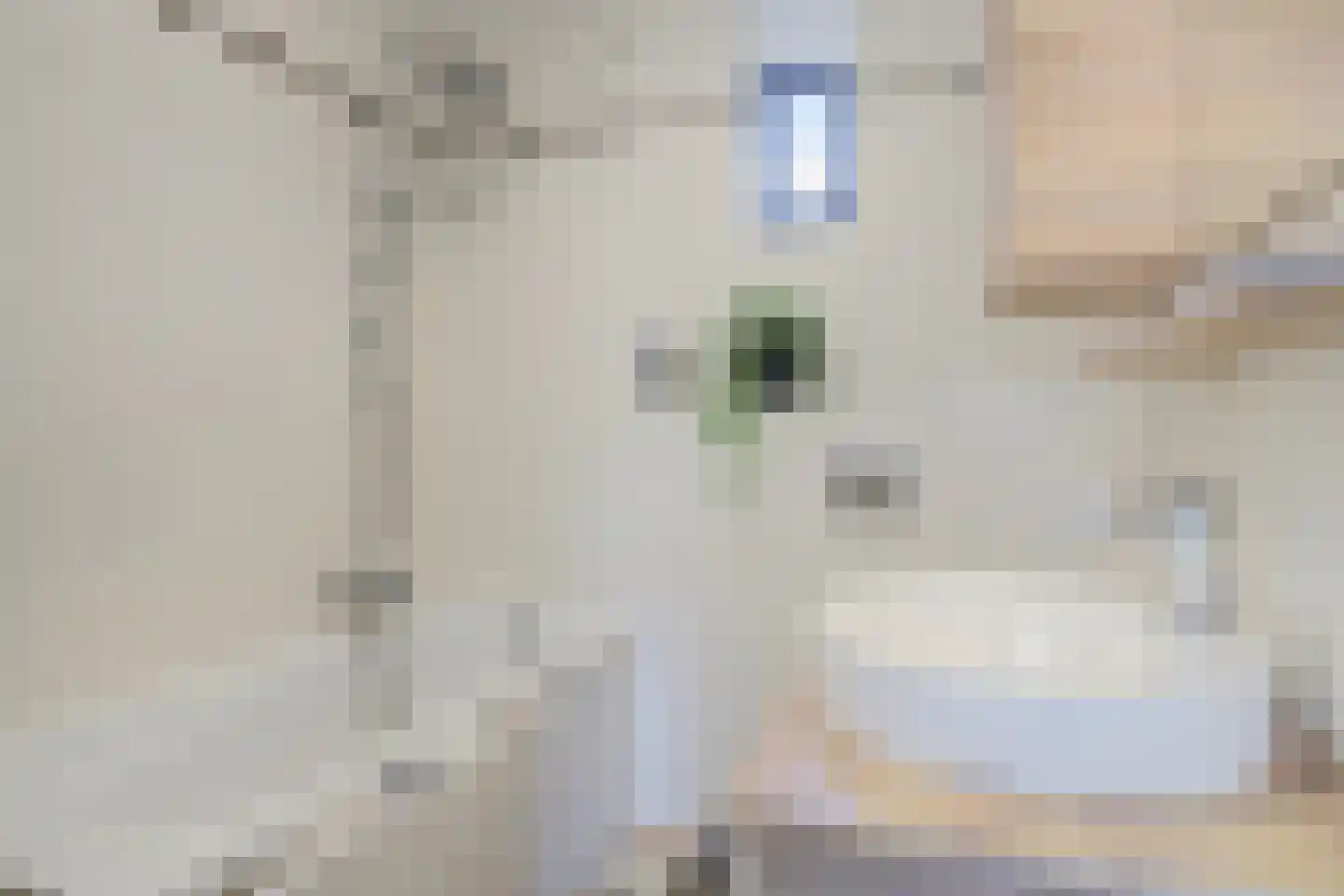Zuster Gertrudisplaats 2 Werkhoven thumbnail 22