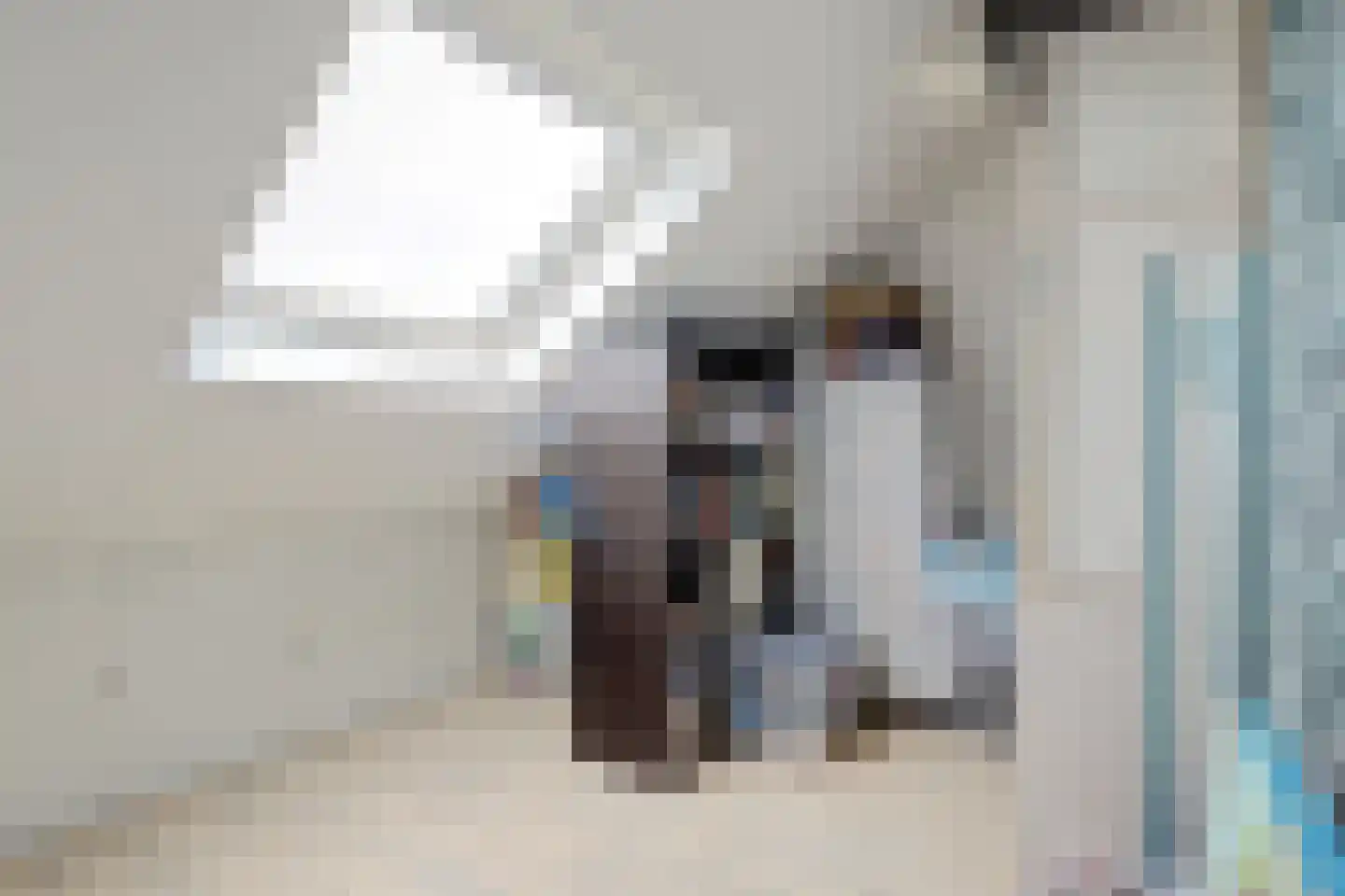 Zuster Gertrudisplaats 2 Werkhoven thumbnail 29