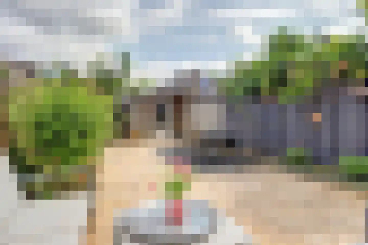 Zuster Gertrudisplaats 2 Werkhoven thumbnail 35