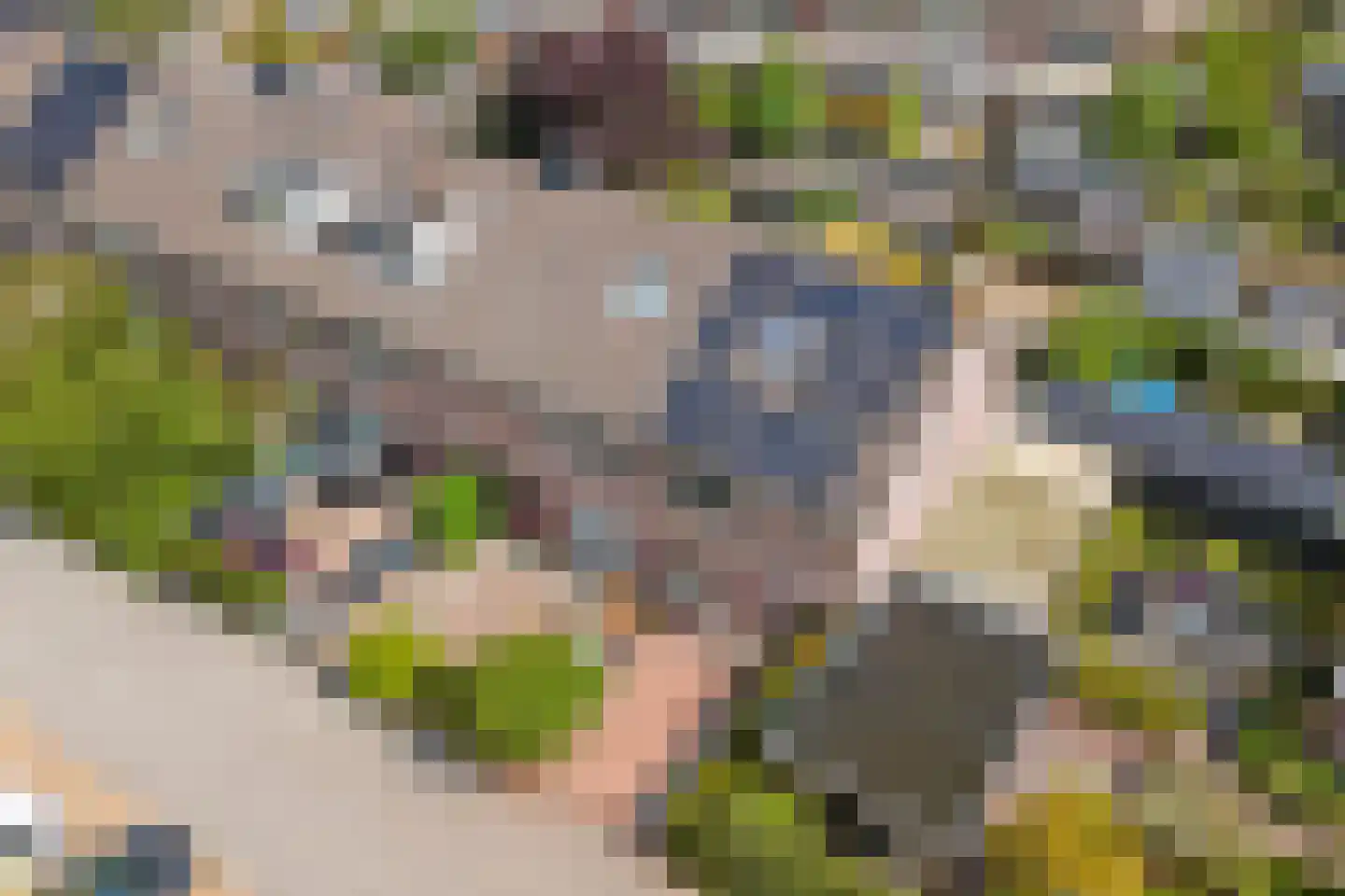 Zuster Gertrudisplaats 2 Werkhoven thumbnail 41
