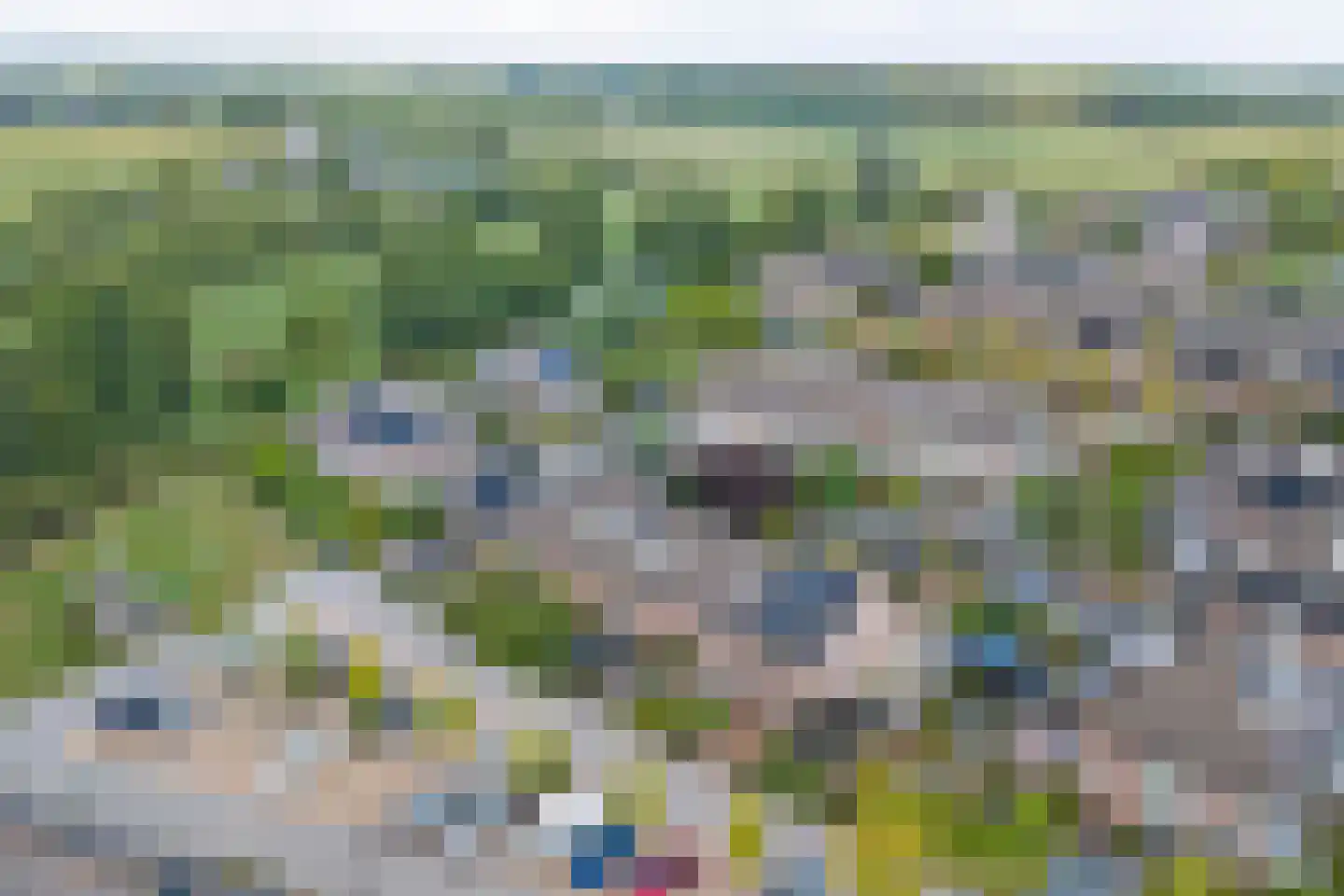 Zuster Gertrudisplaats 2 Werkhoven thumbnail 43