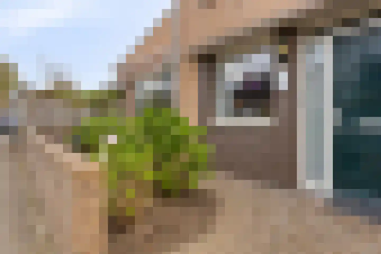 Zuster Gertrudosingel 21 Rosmalen thumbnail 42