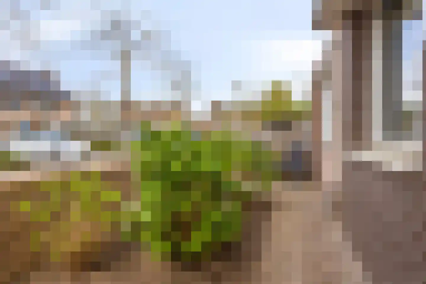 Zuster Gertrudosingel 21 Rosmalen thumbnail 44