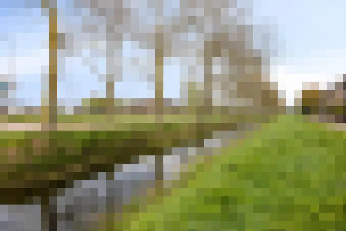 Zuster Gertrudosingel 21 Rosmalen thumbnail 47