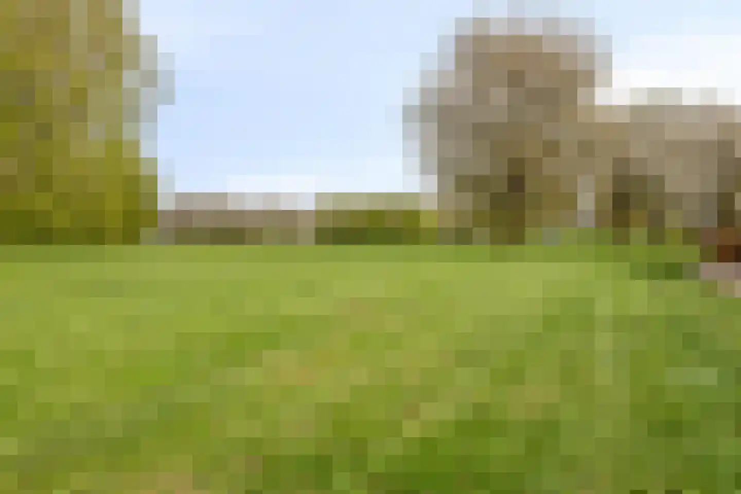 Zuster Gertrudosingel 21 Rosmalen thumbnail 48