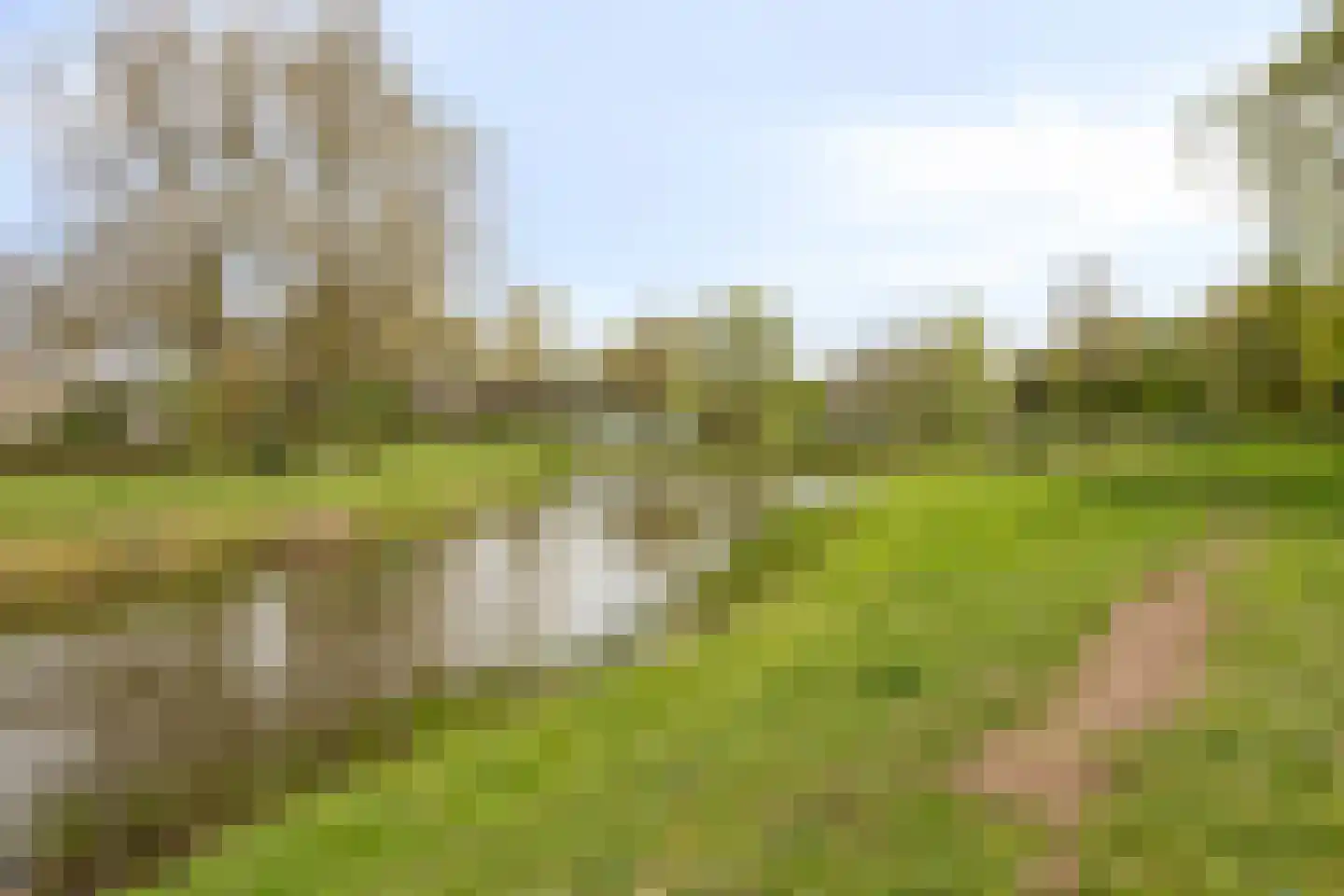 Zuster Gertrudosingel 21 Rosmalen thumbnail 50