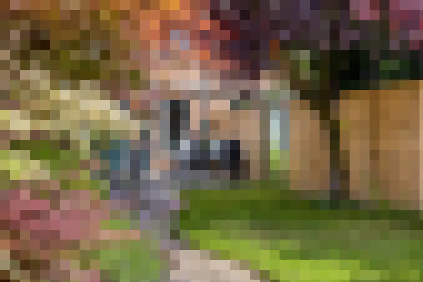 Zuster Gertrudosingel 6 Rosmalen thumbnail 32
