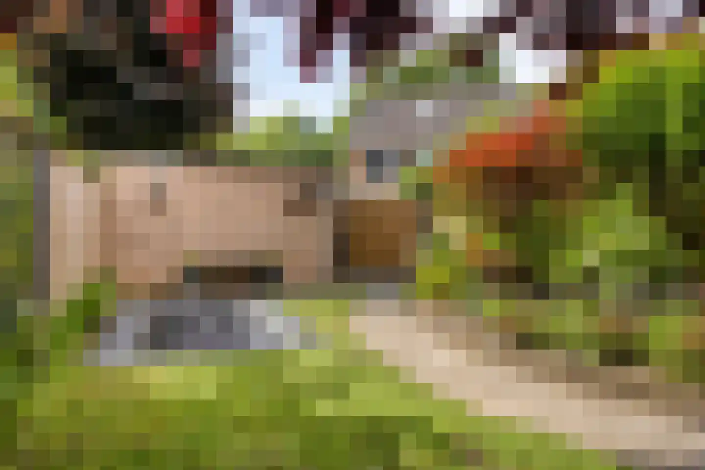 Zuster Gertrudosingel 6 Rosmalen thumbnail 33