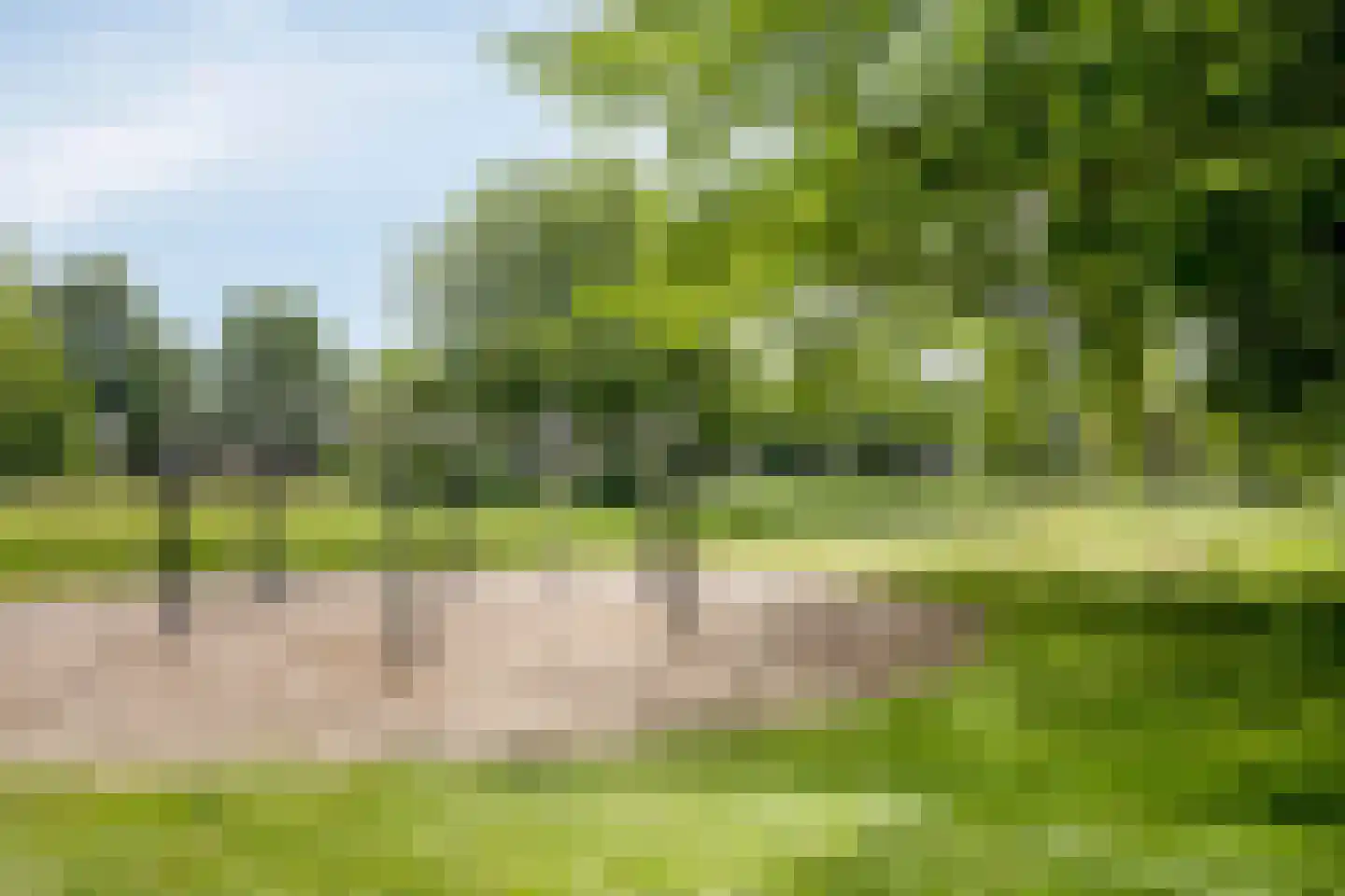 Zuster Gertrudosingel 6 Rosmalen thumbnail 36