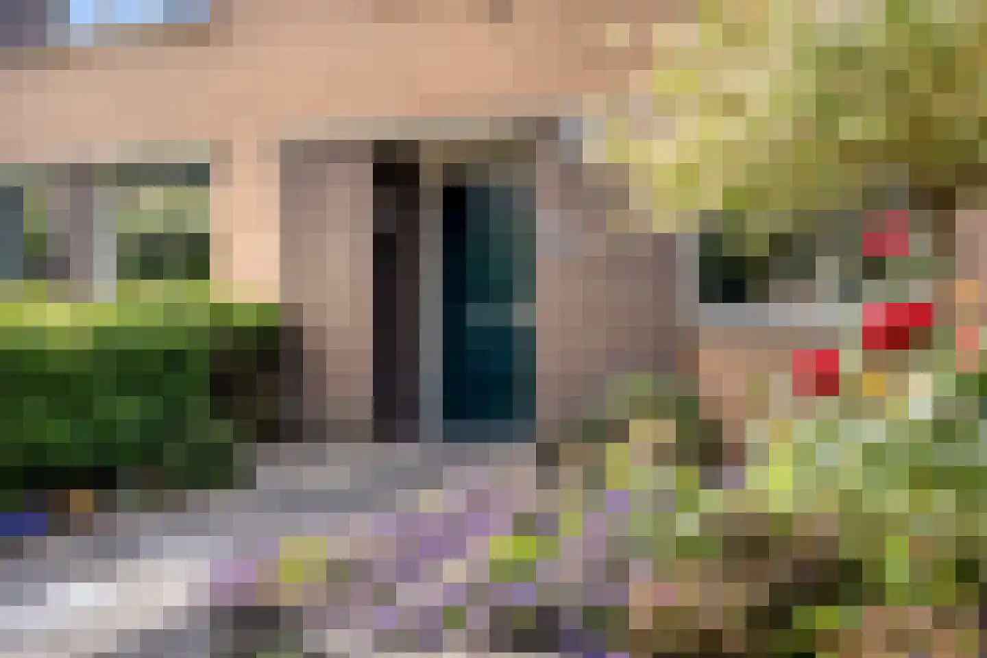 Zuster Gertrudosingel 6 Rosmalen thumbnail 38