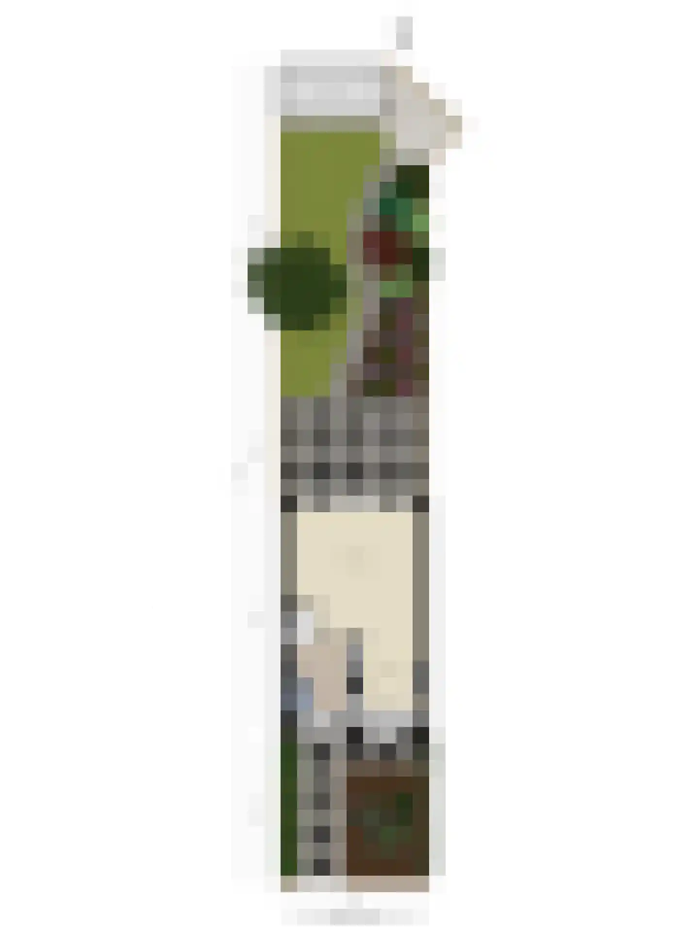 Zuster Gertrudosingel 6 Rosmalen thumbnail 43