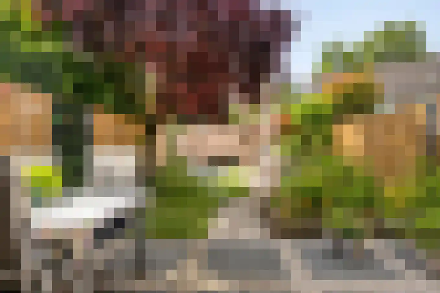 Zuster Gertrudosingel 6 Rosmalen thumbnail 5