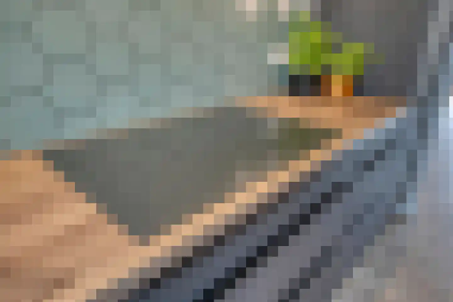 Zuster Gertrudosingel 6 Rosmalen thumbnail 7