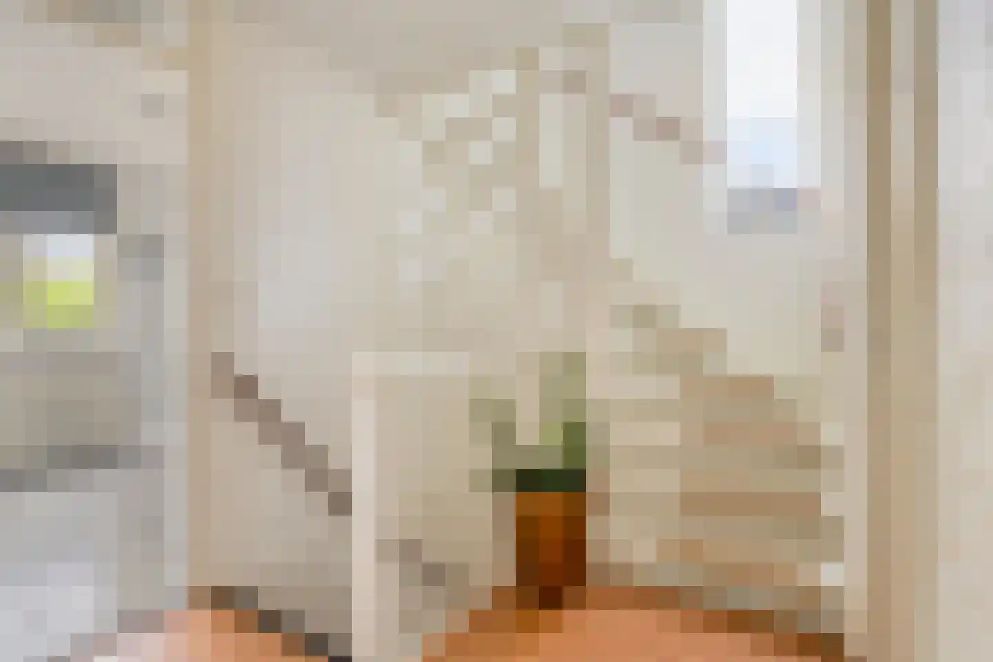 Zuster Gertrudosingel 8 Rosmalen thumbnail 13