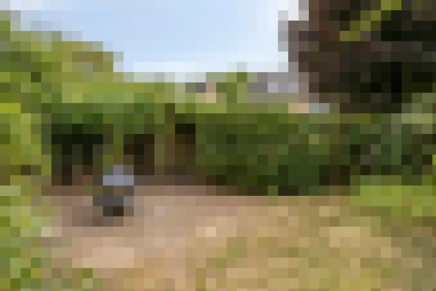 Zuster Gertrudosingel 8 Rosmalen thumbnail 24