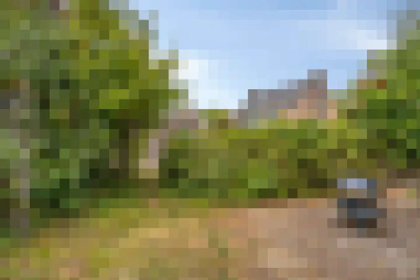 Zuster Gertrudosingel 8 Rosmalen thumbnail 25
