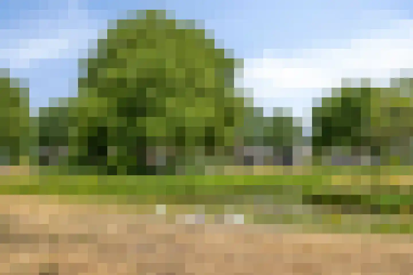 Zuster Gertrudosingel 8 Rosmalen thumbnail 31