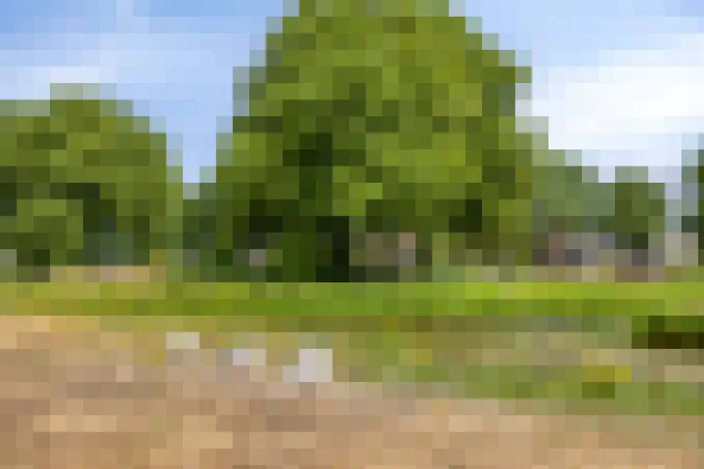 Zuster Gertrudosingel 8 Rosmalen thumbnail 32