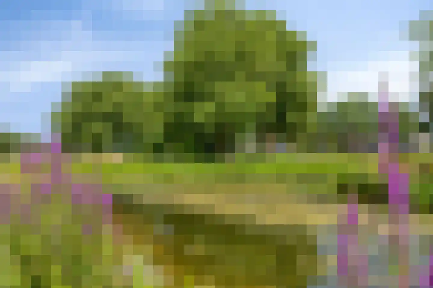 Zuster Gertrudosingel 8 Rosmalen thumbnail 33