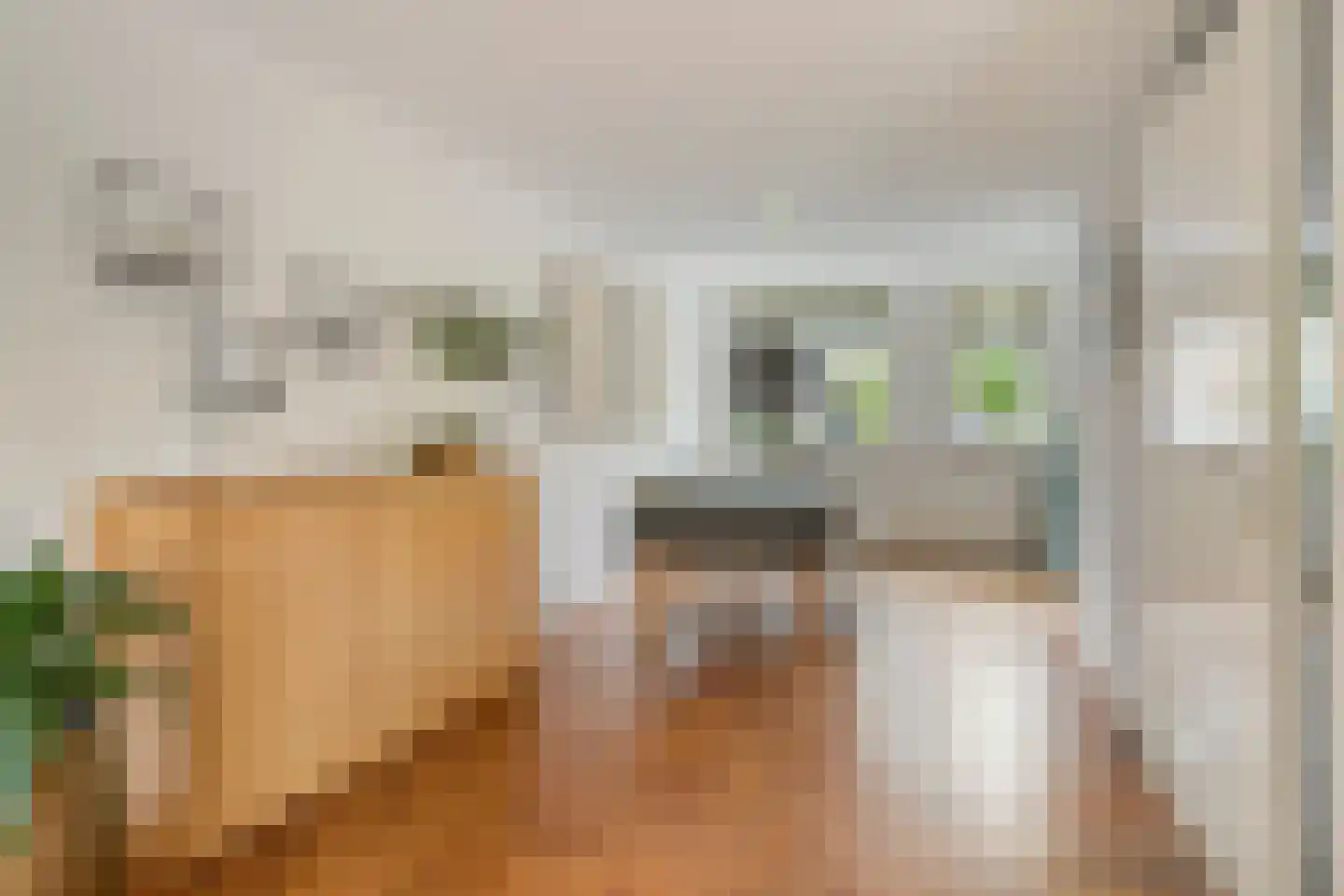 Zuster Gertrudosingel 8 Rosmalen thumbnail 8