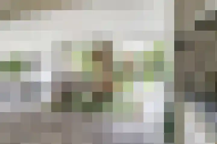 Zuster Irmbertastraat 6 Helden thumbnail 10