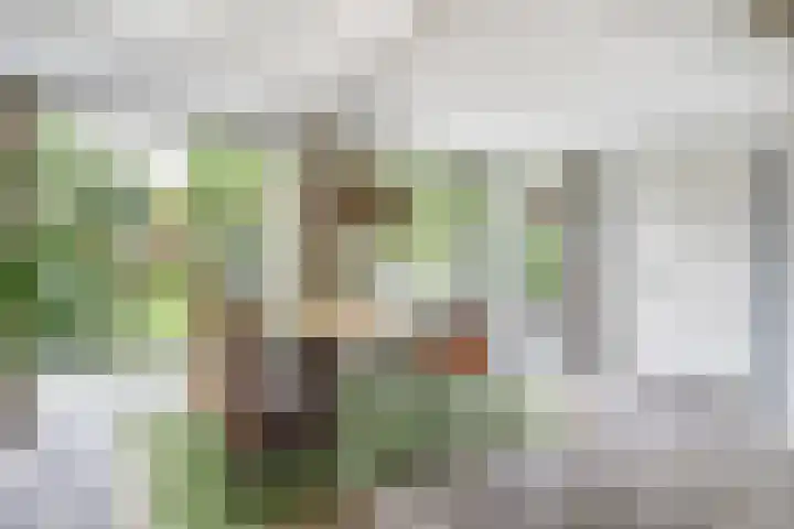 Zuster Irmbertastraat 6 Helden thumbnail 11
