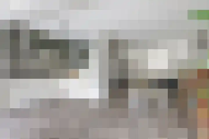 Zuster Irmbertastraat 6 Helden thumbnail 12