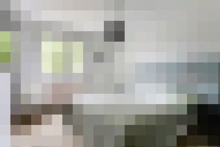 Zuster Irmbertastraat 6 Helden thumbnail 15