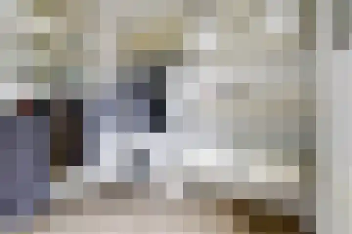 Zuster Irmbertastraat 6 Helden thumbnail 17