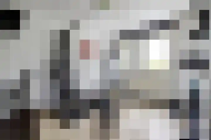 Zuster Irmbertastraat 6 Helden thumbnail 18
