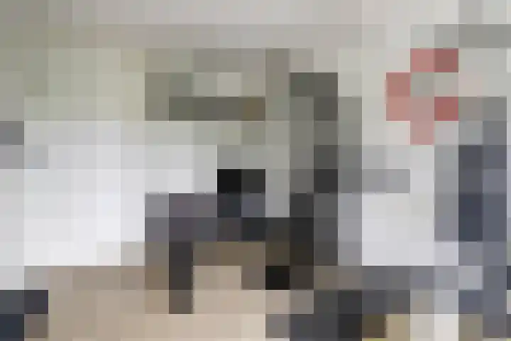 Zuster Irmbertastraat 6 Helden thumbnail 19