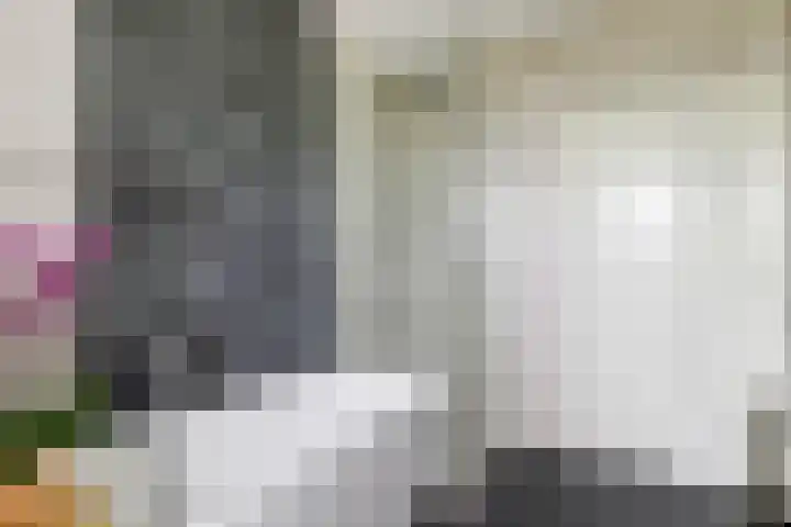 Zuster Irmbertastraat 6 Helden thumbnail 20