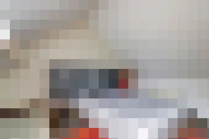 Zuster Irmbertastraat 6 Helden thumbnail 25