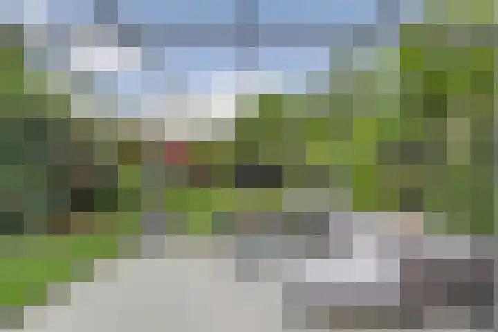 Zuster Irmbertastraat 6 Helden thumbnail 28
