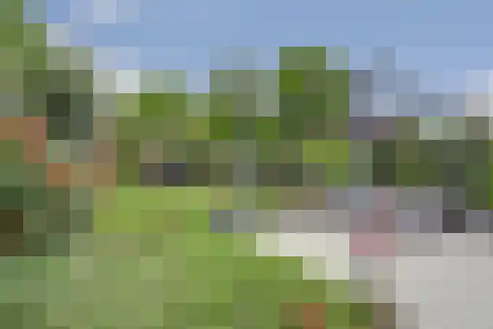 Zuster Irmbertastraat 6 Helden thumbnail 29