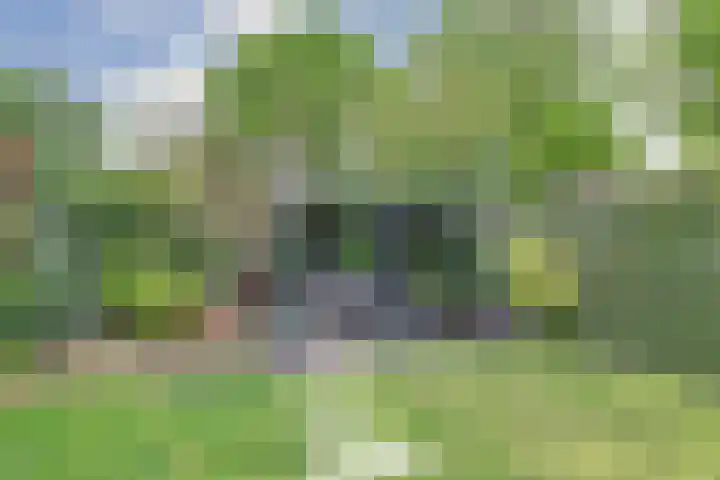 Zuster Irmbertastraat 6 Helden thumbnail 30