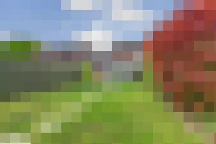 Zuster Irmbertastraat 6 Helden thumbnail 31