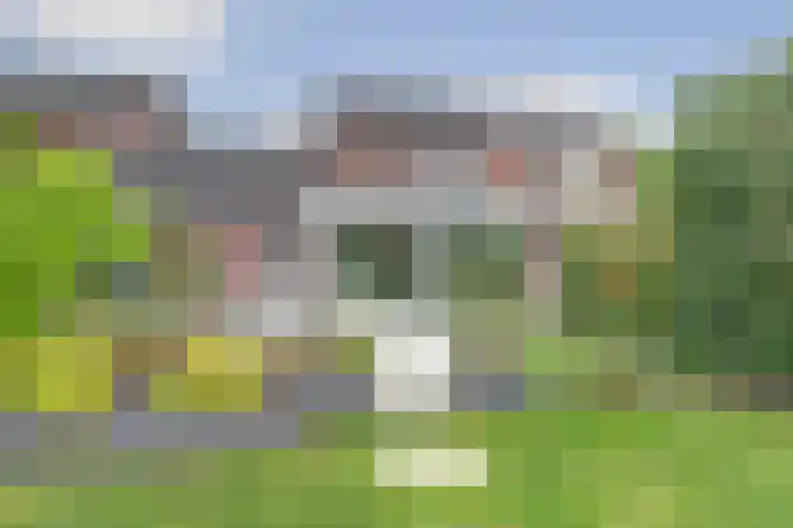 Zuster Irmbertastraat 6 Helden thumbnail 32