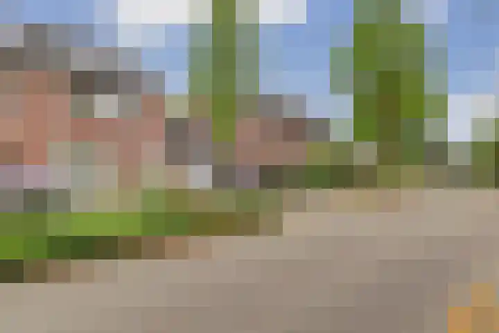 Zuster Irmbertastraat 6 Helden thumbnail 35