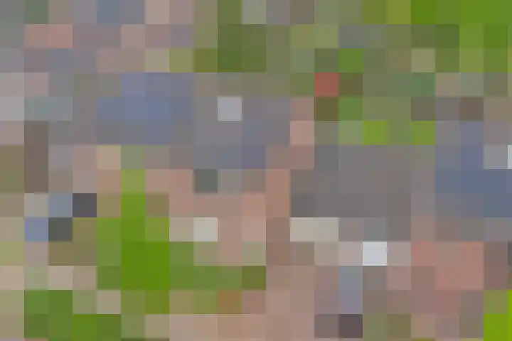 Zuster Irmbertastraat 6 Helden thumbnail 36