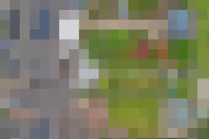 Zuster Irmbertastraat 6 Helden thumbnail 38