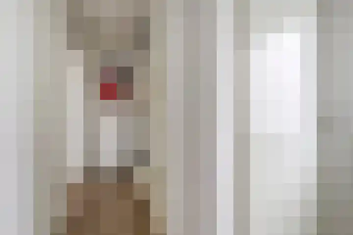 Zuster Irmbertastraat 6 Helden thumbnail 5